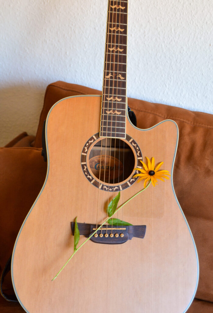 Gitarre